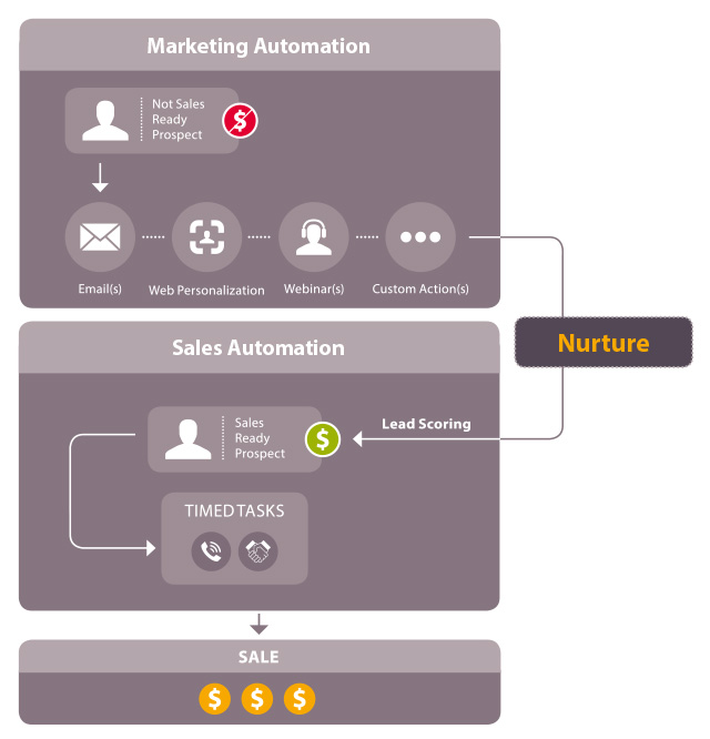 7 Steps to Marketing Automation Success